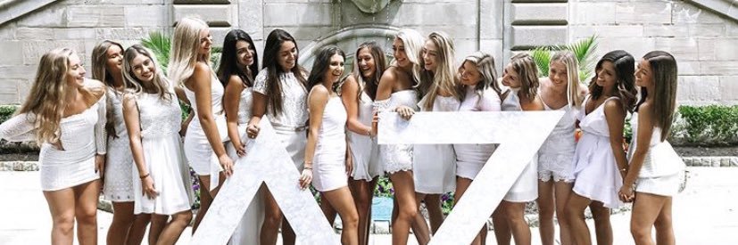 Pitt Delta Zeta banner