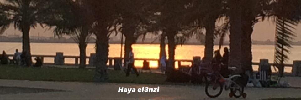 767Haya's profile banner image