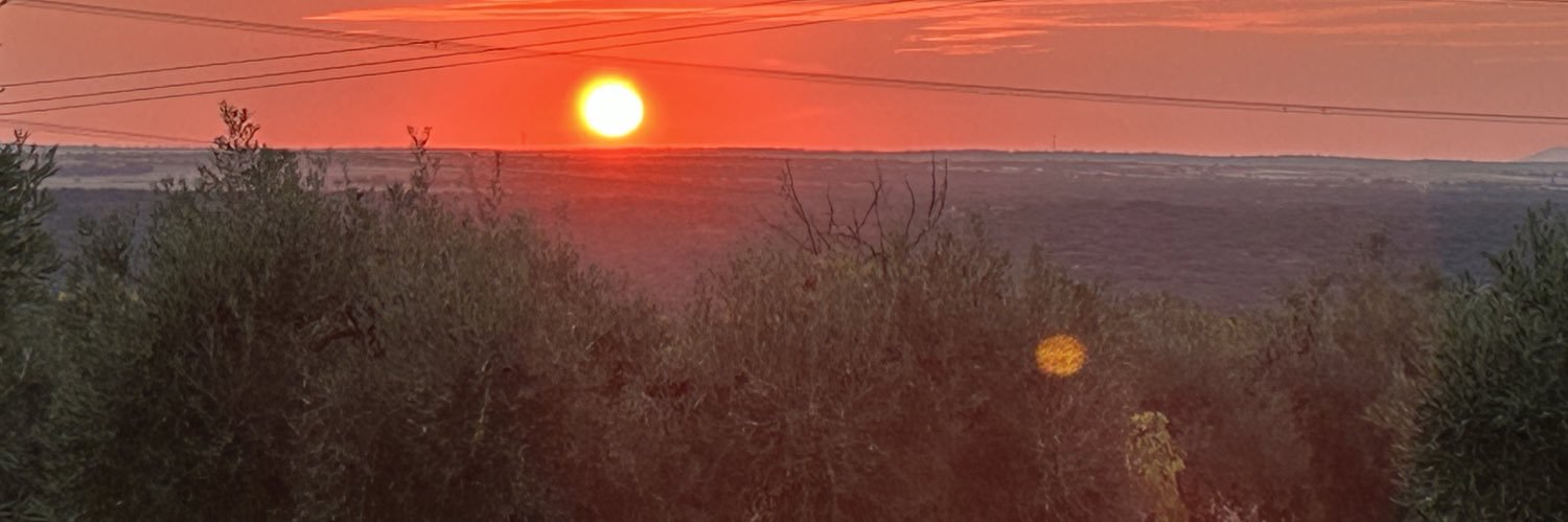 rachelitarp's profile banner image