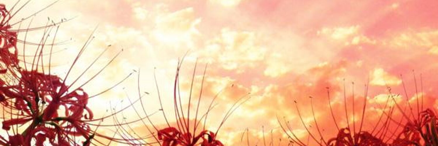 akinitodomaru's profile banner image