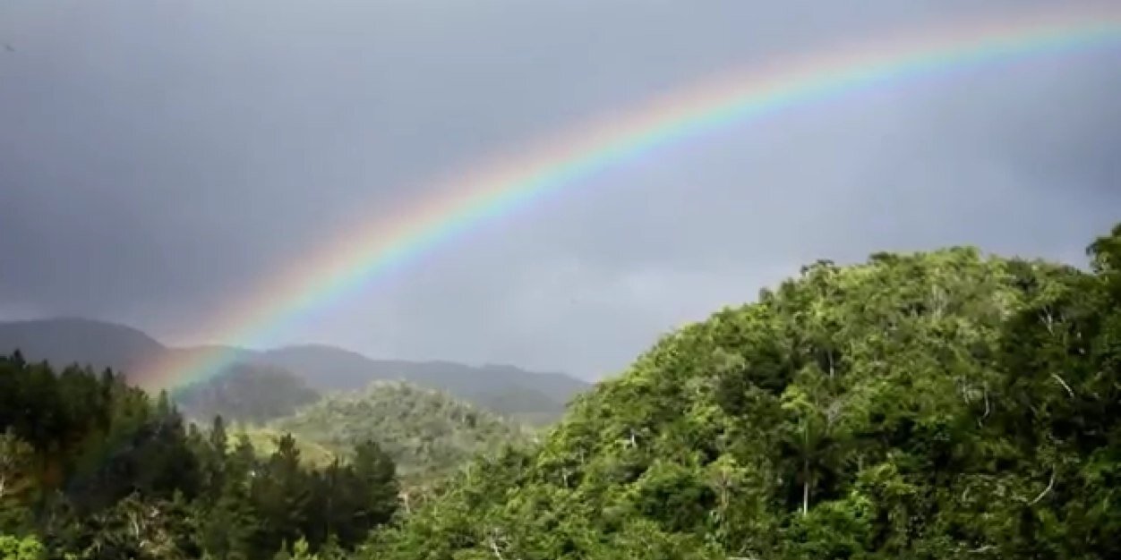 empress_rainbow's profile banner image
