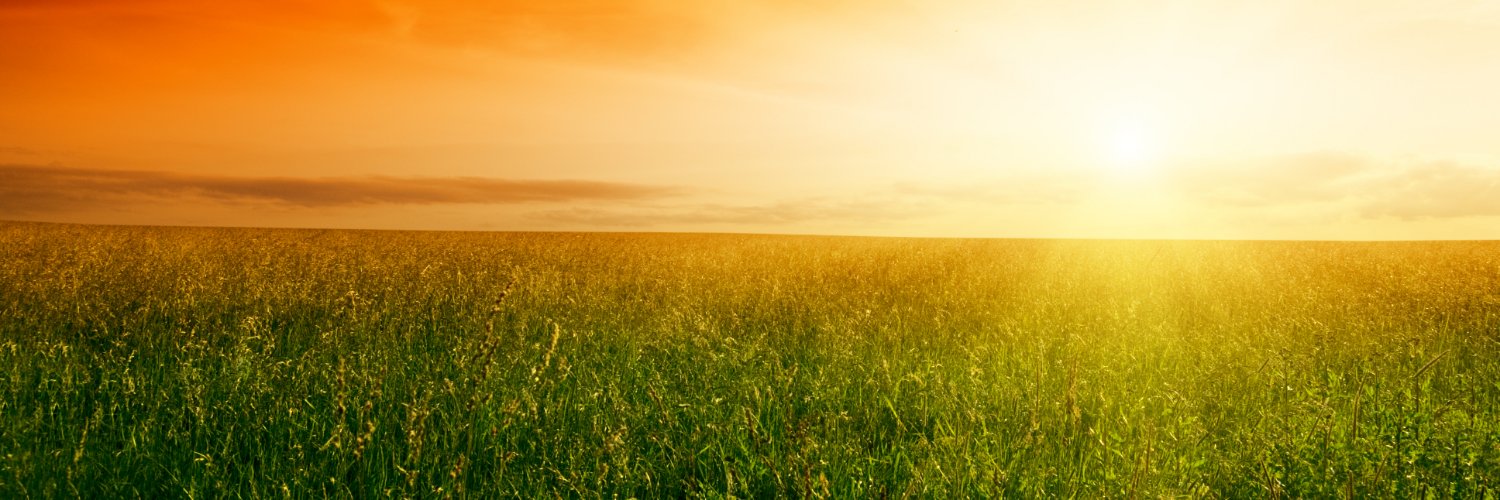 Sarah Mason-Renton banner