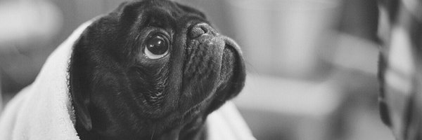 lacellis Profile Banner