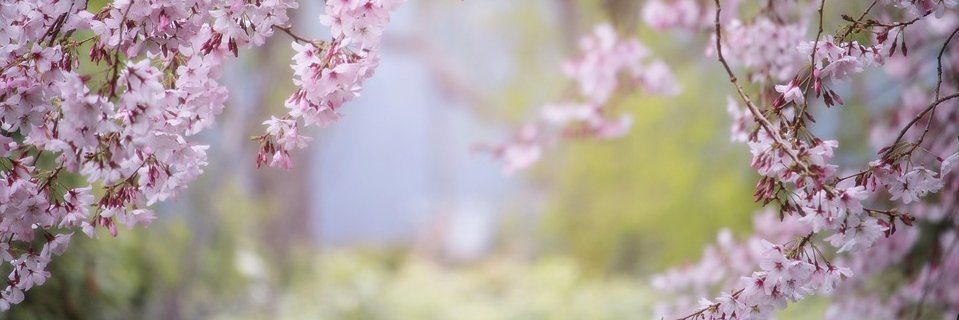 rita_oby's profile banner image