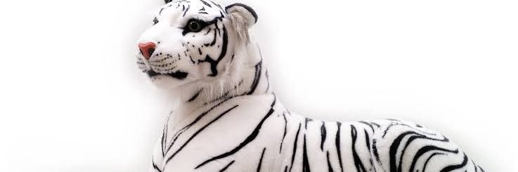 Eniitan03's profile banner image