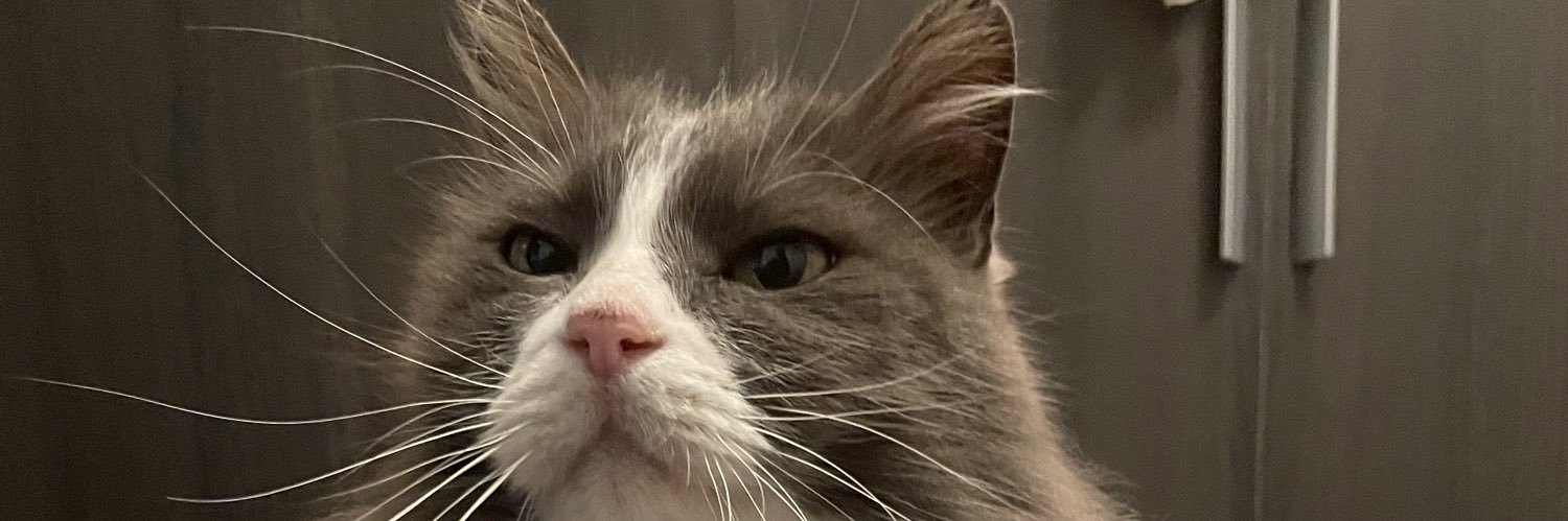 HEILVH's profile banner image
