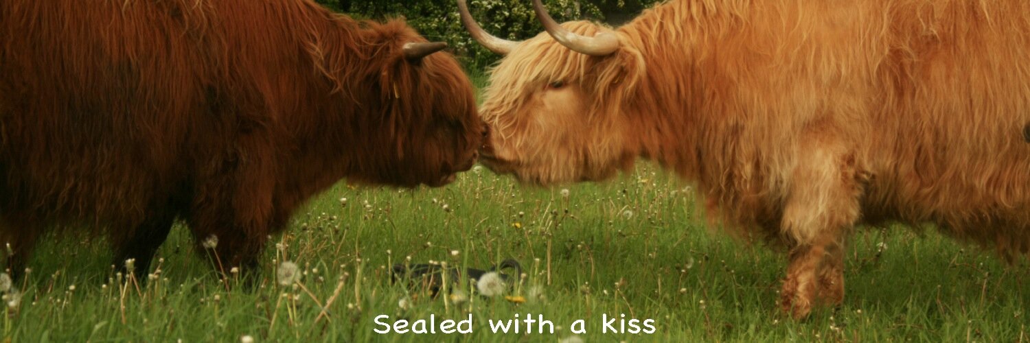 ewe_love's profile banner image