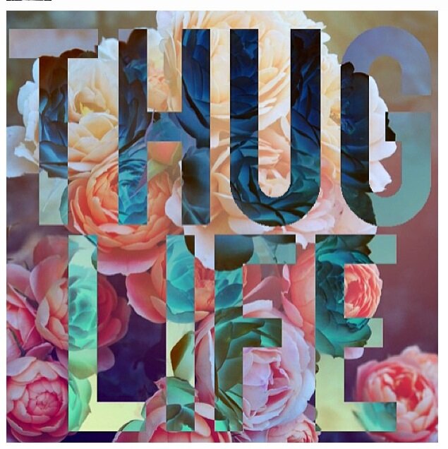 BeeLoveKillinEm's profile banner image