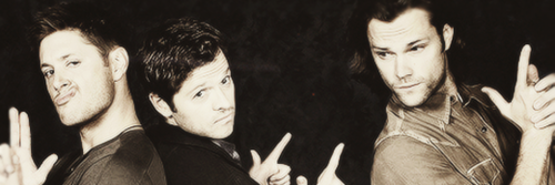 WeasleyEverdeen's profile banner image