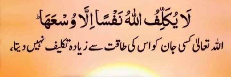 Ali Raza Jamali banner