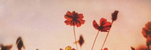 Кешью banner