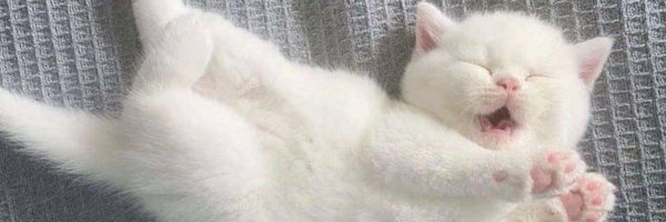 __XCVI_ Profile Banner