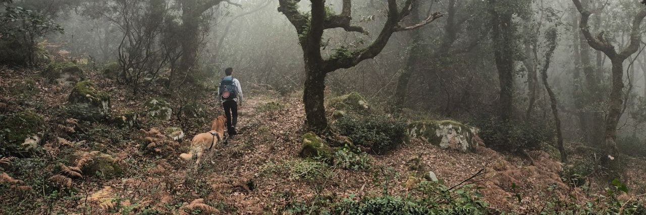 Víctor M. Campello banner