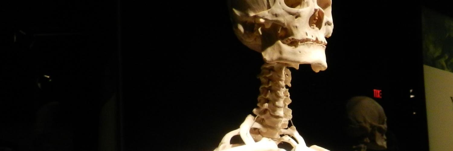 Deb Clapp (she/her/hers) banner