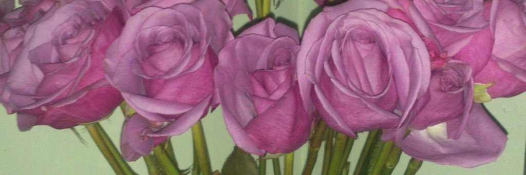 yap_swift's profile banner image