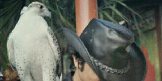 faisal10s's profile banner image