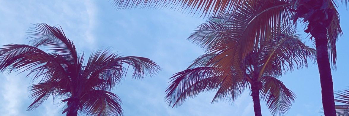a_NiCol3's profile banner image