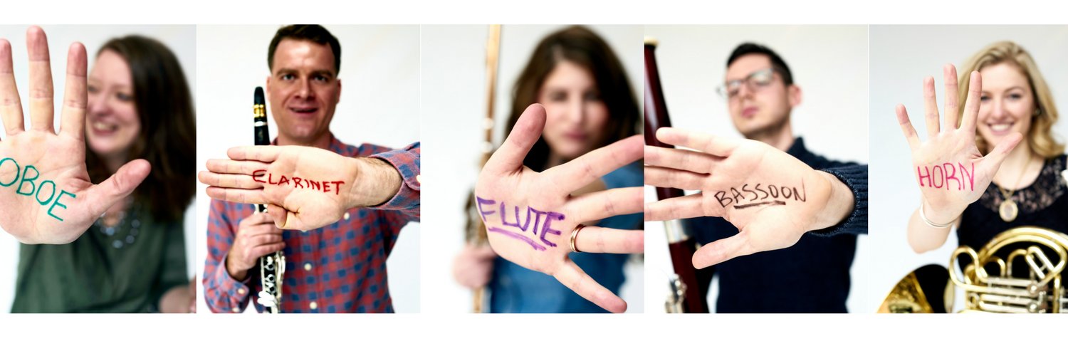 D5quintet's profile banner image