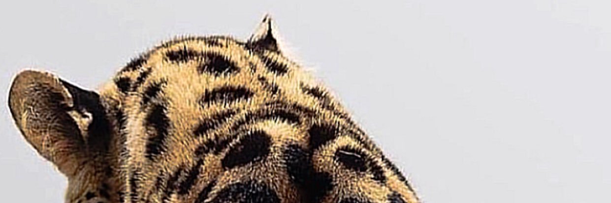 w_u_c7's profile banner image