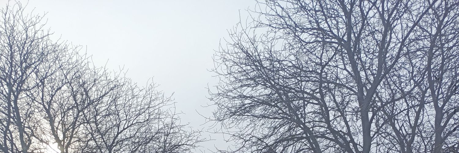 Bolek94's profile banner image