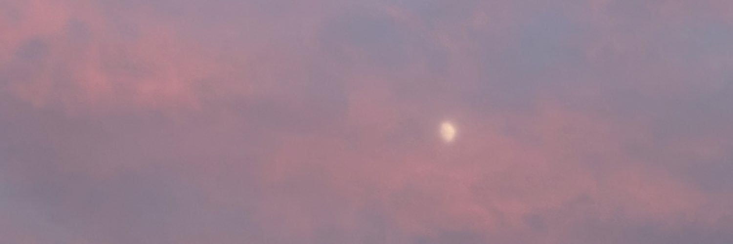 rooty🦖­­­­♡⃛ banner