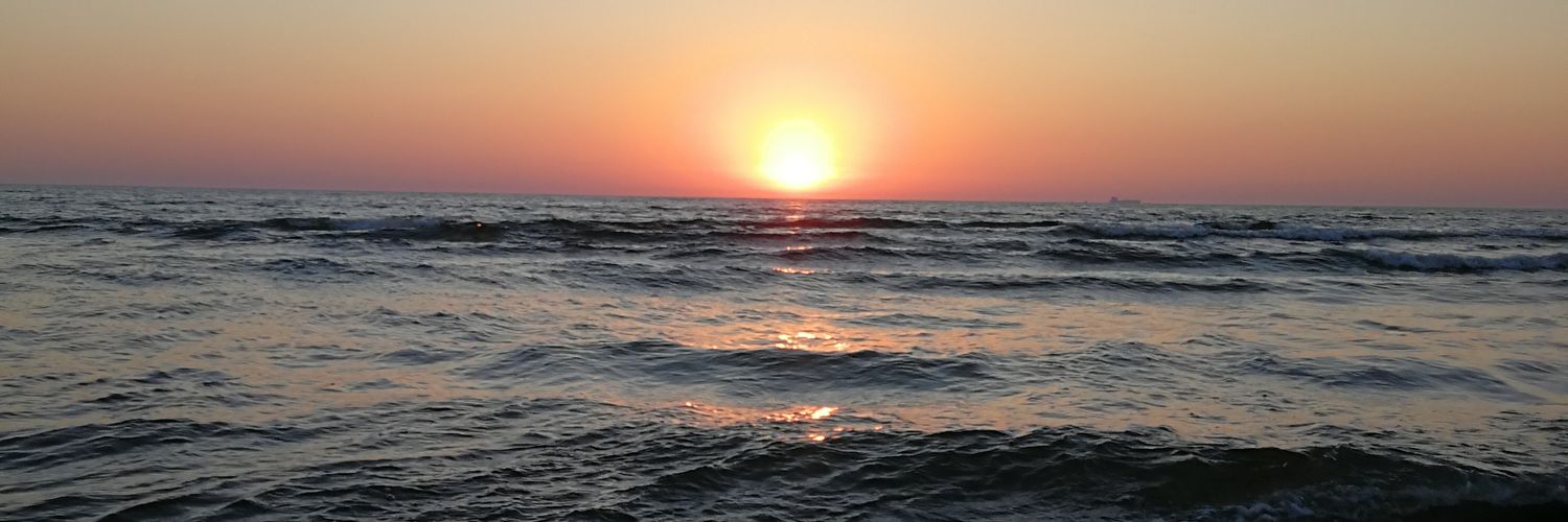 DottieNiu's profile banner image