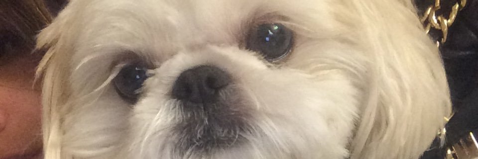 madison_tighe's profile banner image