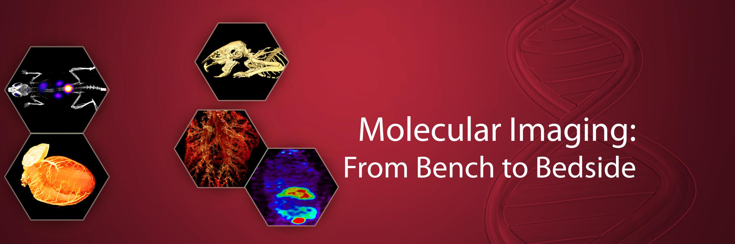 USCMIC's profile banner image