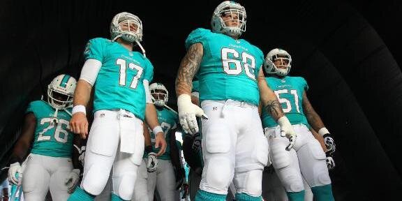 DolphinsBrasil's profile banner image
