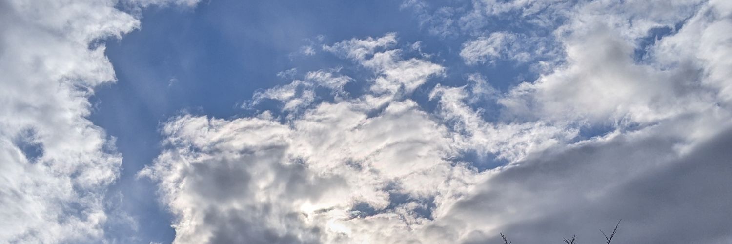 noz0mi13's profile banner image