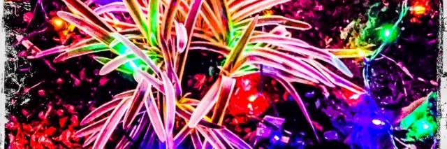 Bob Berg Photography banner