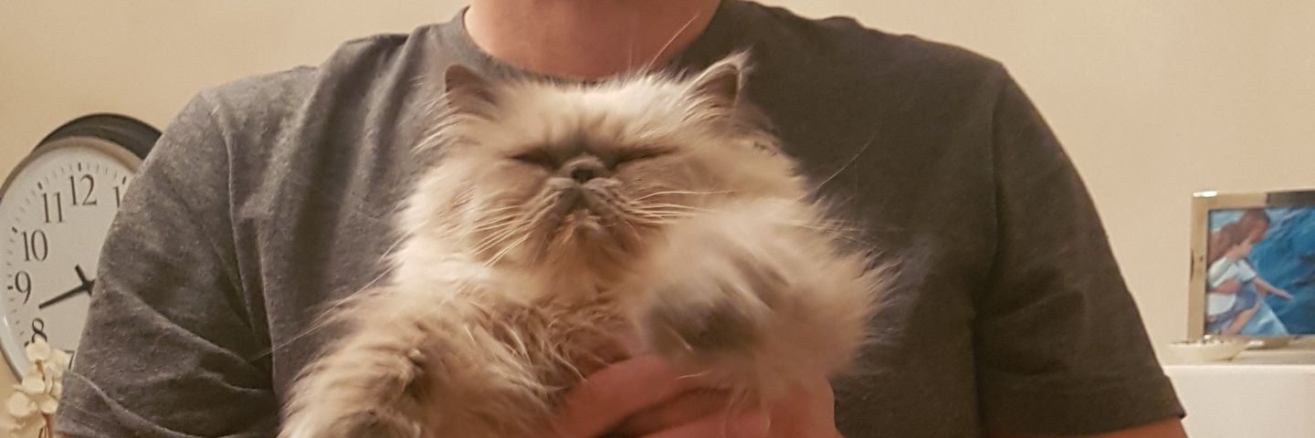 tarikcet's profile banner image