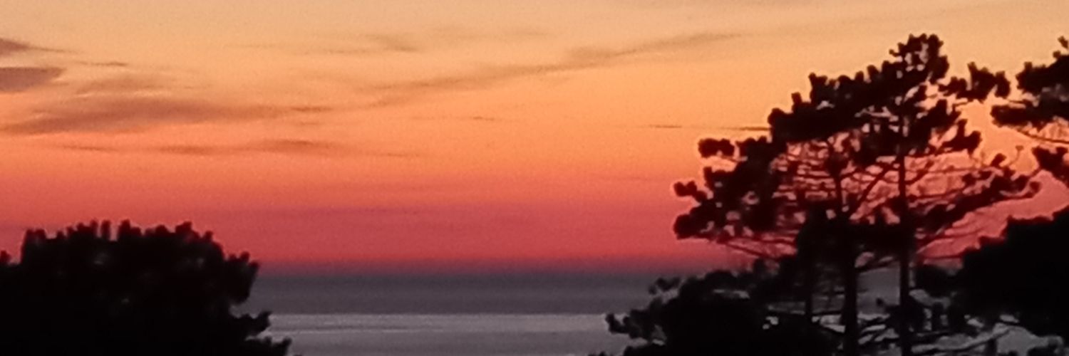 Claire Ballinger 🇺🇦🌻❤ banner