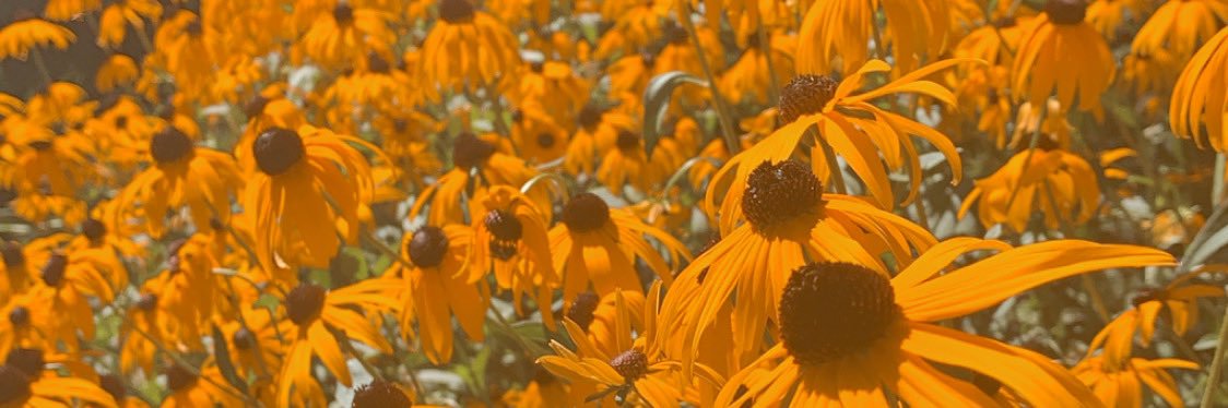 JessicaErny2's profile banner image