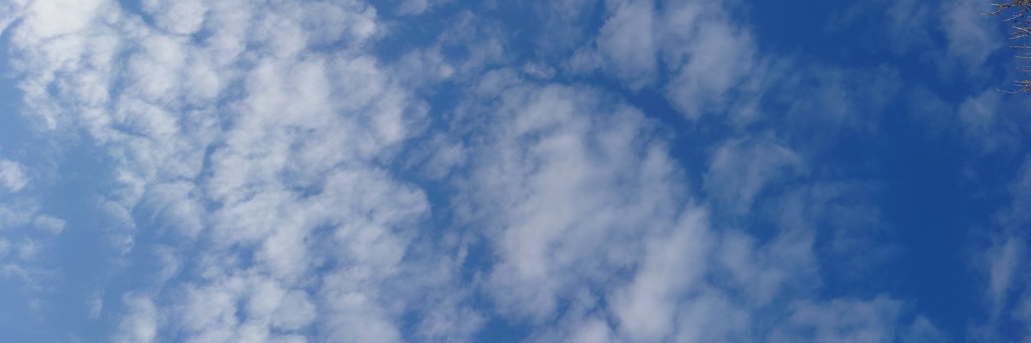 Nezptune's profile banner image