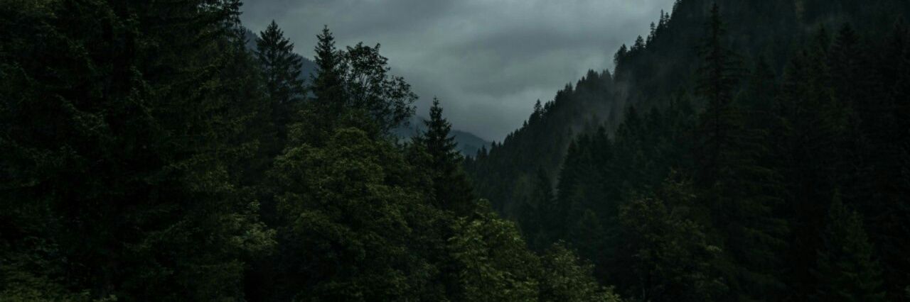 __frs___228's profile banner image