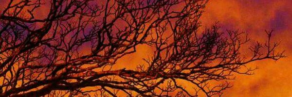 lecouilllu Profile Banner