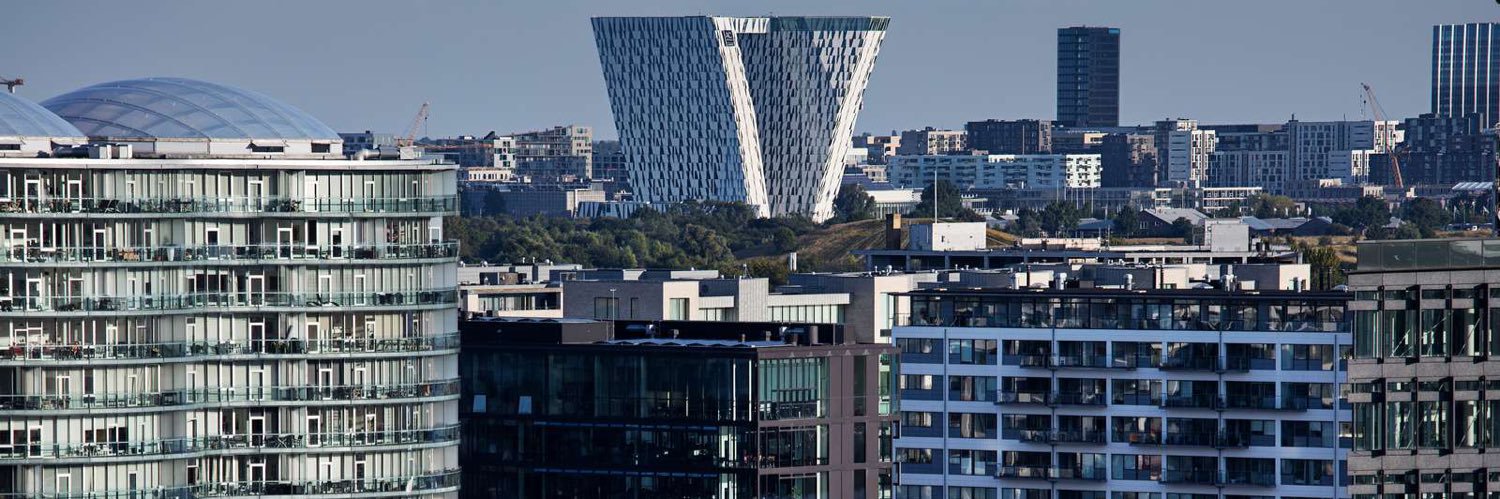 Tue David Bak banner