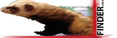 smithfield1113's profile banner image