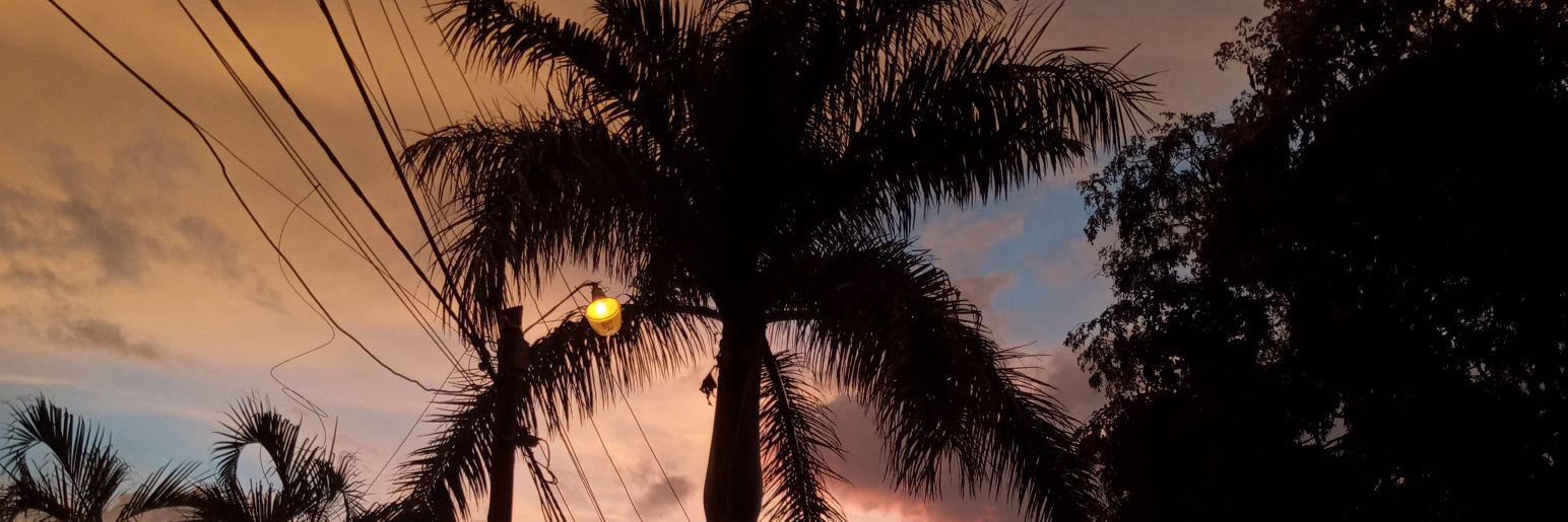 AlanAviila2's profile banner image