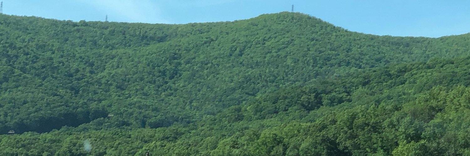 bizzy2009's profile banner image
