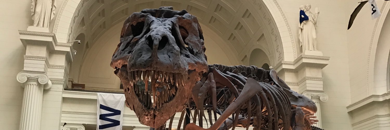 stompy4life's profile banner image