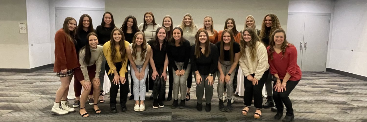 Cleveland State Softball banner