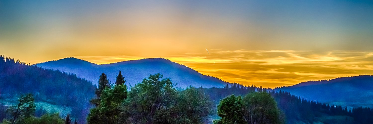 Alina Pereverzieva banner