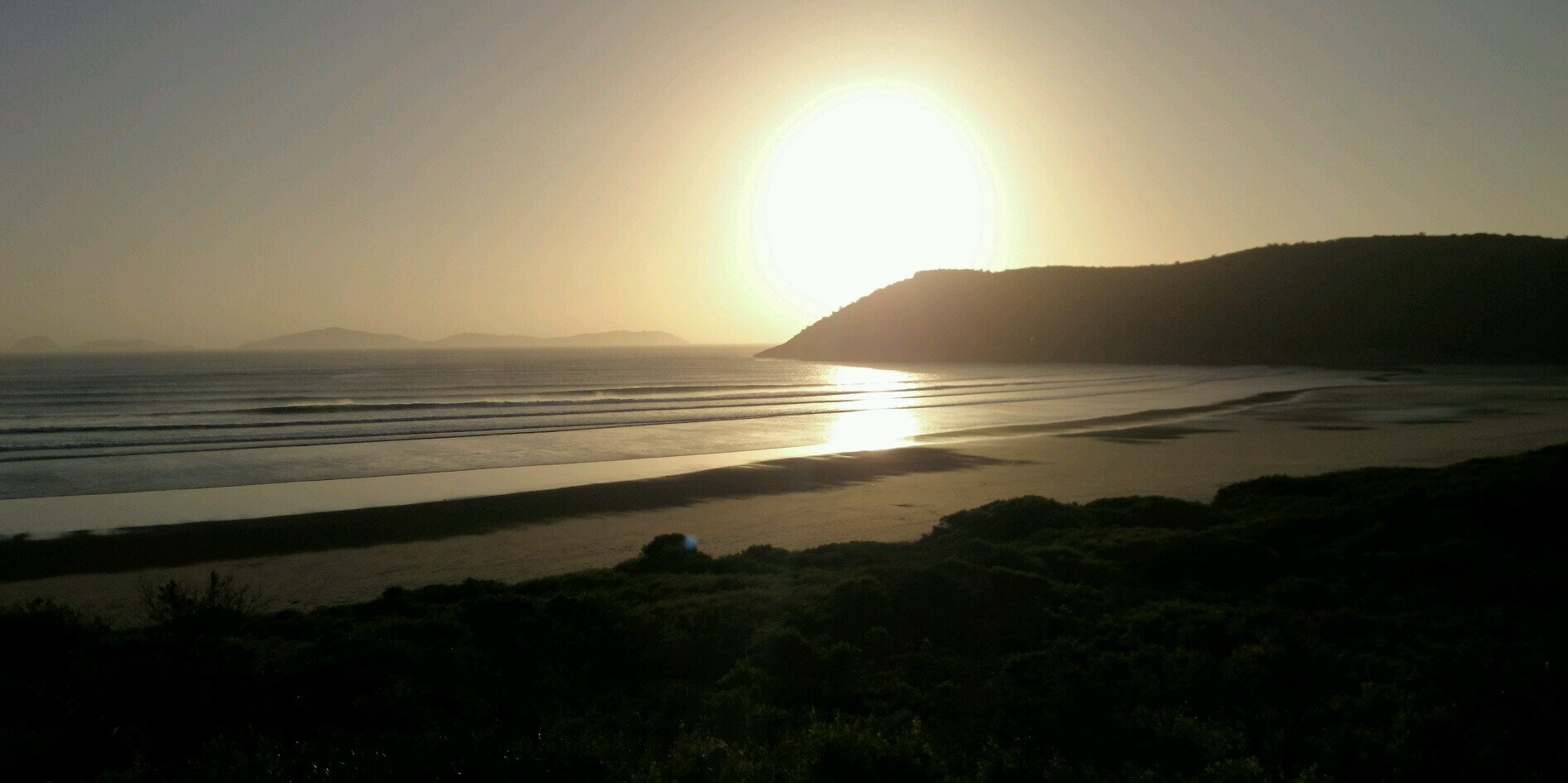 Bart Cresswell banner