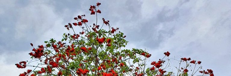 ttucey's profile banner image