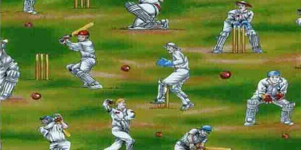 We love cricket banner