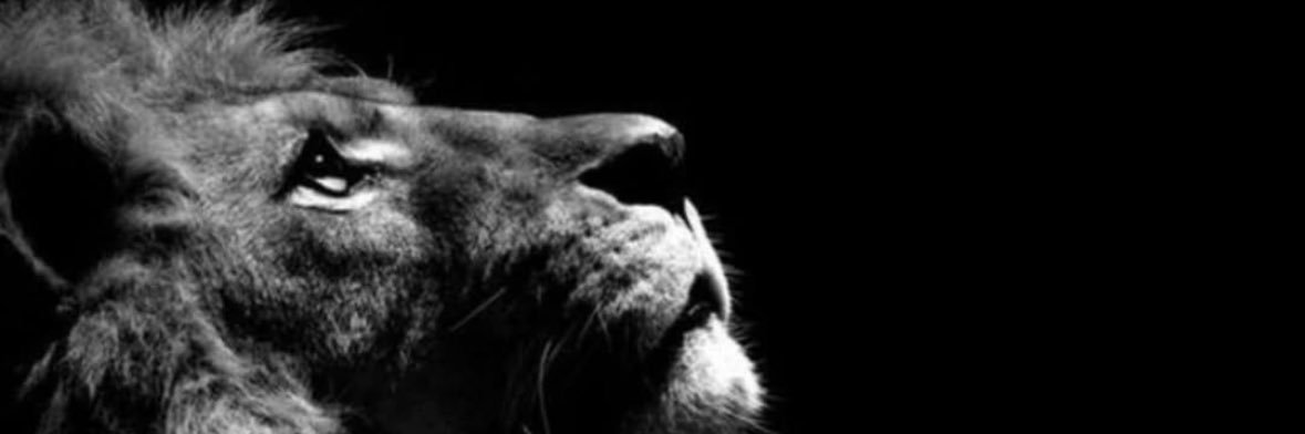 ahmtcnroglu0's profile banner image