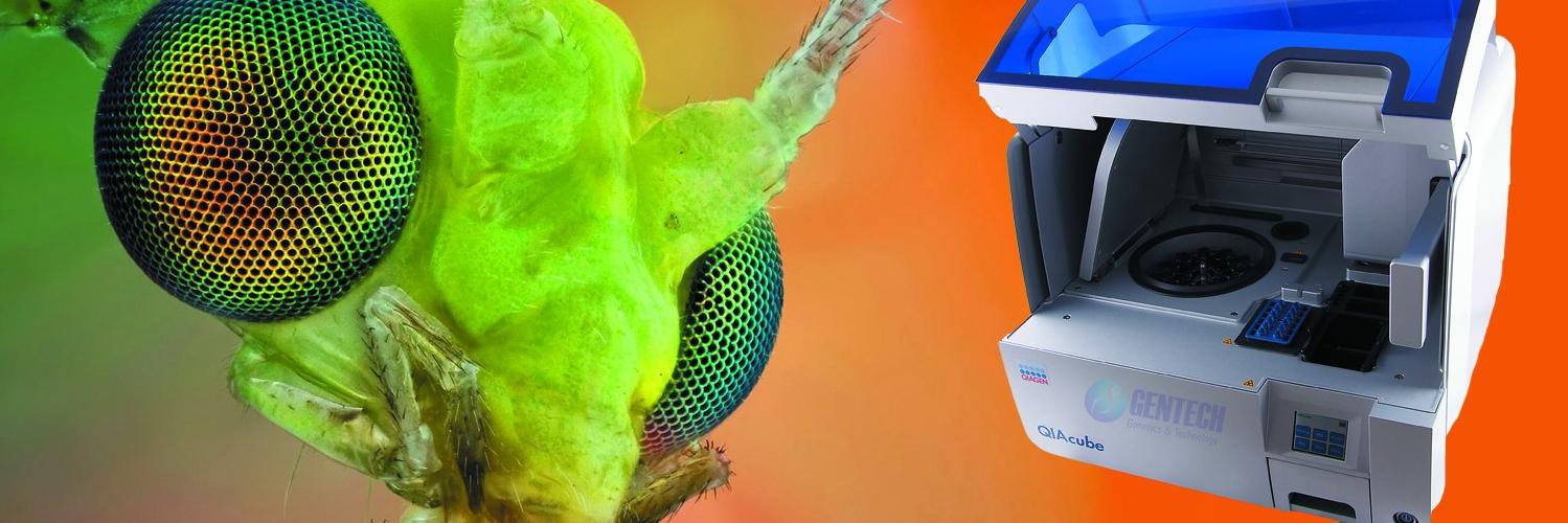 Gentech (@GentechBio) / Posts / X