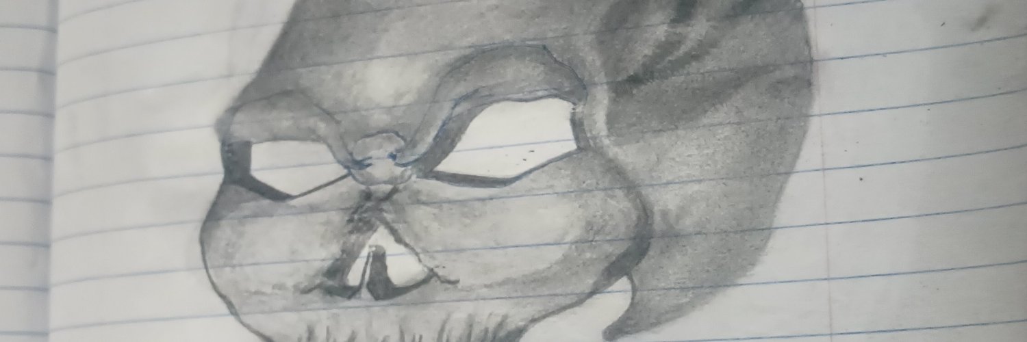 WBrown2911's profile banner image